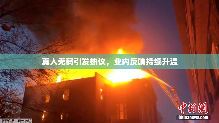 真人无码引发热议，业内反响持续升温