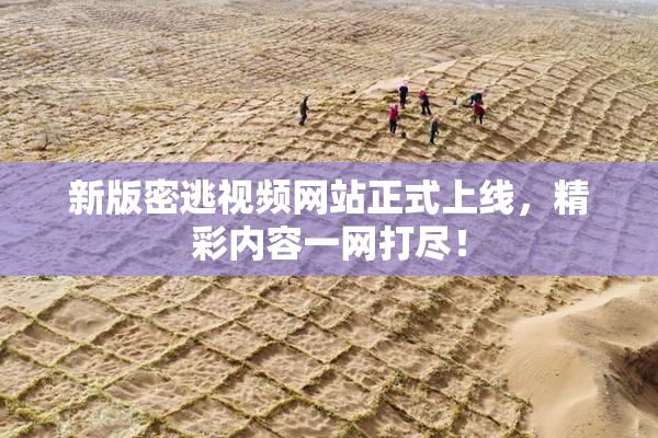 新版密逃视频网站正式上线，精彩内容一网打尽！