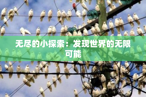 无尽的小探索：发现世界的无限可能
