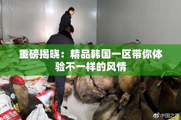 重磅揭晓：精品韩国一区带你体验不一样的风情