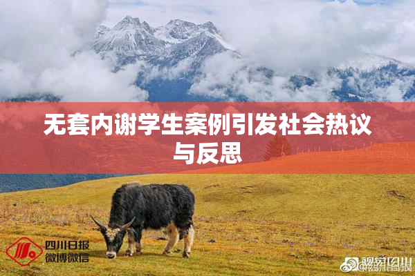 无套内谢学生案例引发社会热议与反思