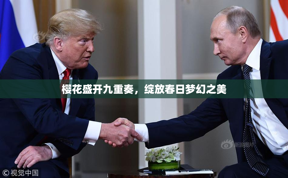 樱花盛开九重奏，绽放春日梦幻之美