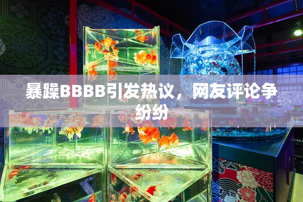 暴躁BBBB引发热议，网友评论争纷纷