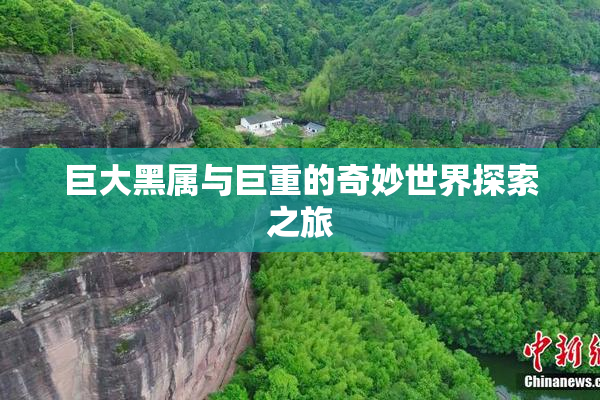 巨大黑属与巨重的奇妙世界探索之旅