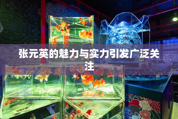 张元英的魅力与实力引发广泛关注