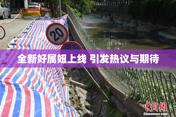 全新好属妞上线 引发热议与期待