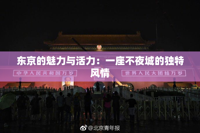 东京的魅力与活力：一座不夜城的独特风情