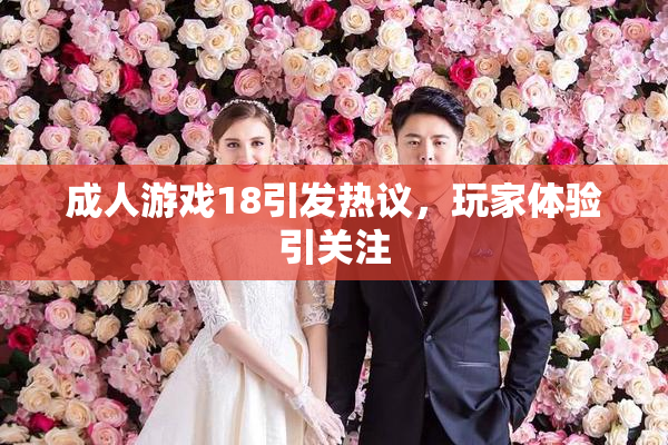 成人游戏18引发热议，玩家体验引关注