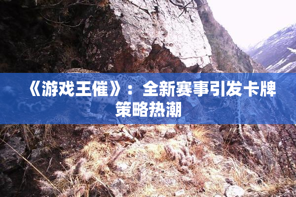 《游戏王催》：全新赛事引发卡牌策略热潮