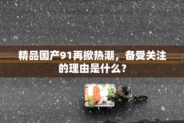 精品国产91再掀热潮，备受关注的理由是什么？