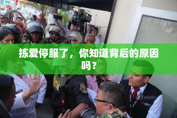 拣爱停服了，你知道背后的原因吗？