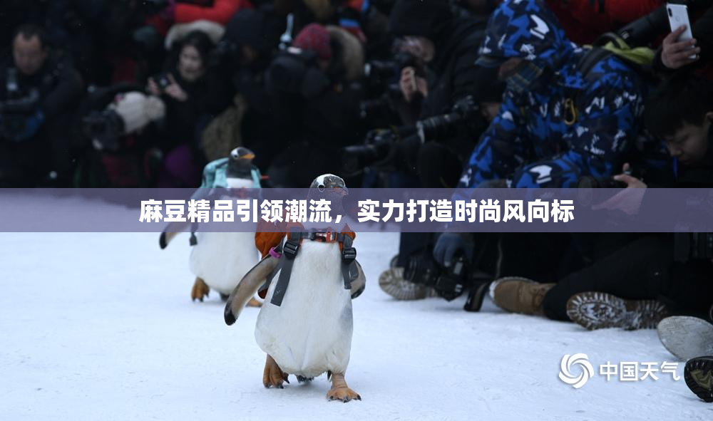 麻豆精品引领潮流，实力打造时尚风向标