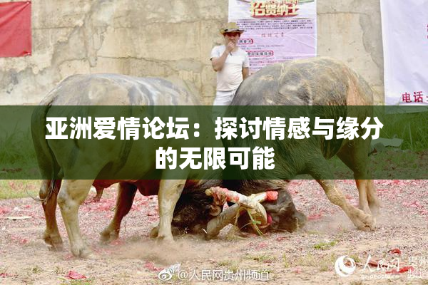 亚洲爱情论坛：探讨情感与缘分的无限可能
