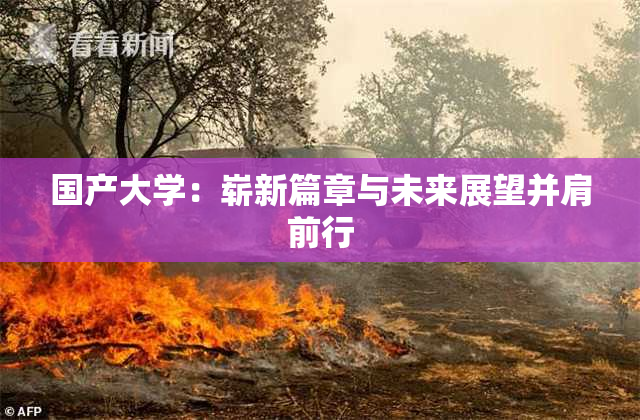 国产大学：崭新篇章与未来展望并肩前行