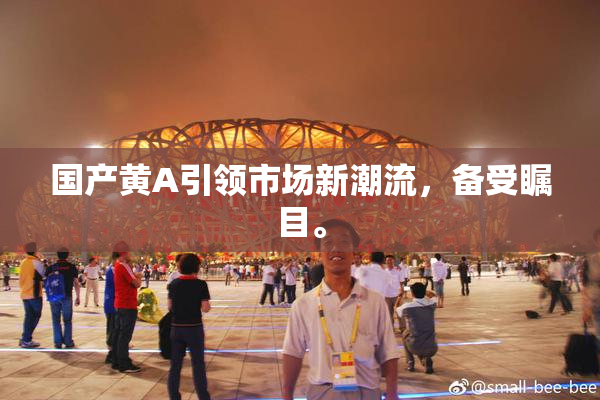 国产黄A引领市场新潮流，备受瞩目。