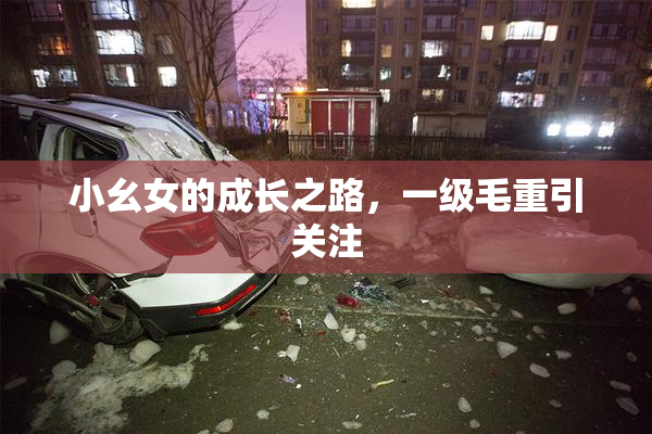 小幺女的成长之路，一级毛重引关注
