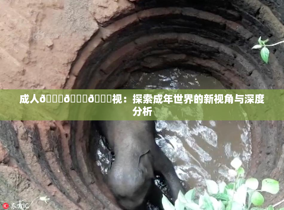 成人🍆🍑🔞视：探索成年世界的新视角与深度分析