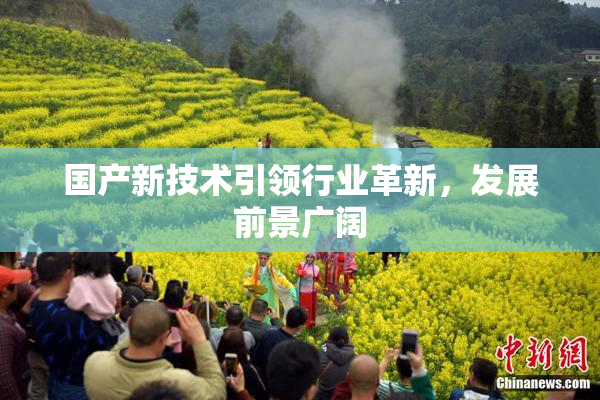国产新技术引领行业革新，发展前景广阔