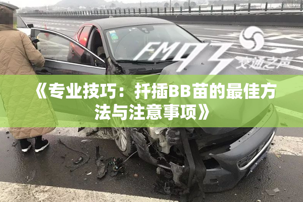 《专业技巧：扦插BB苗的最佳方法与注意事项》