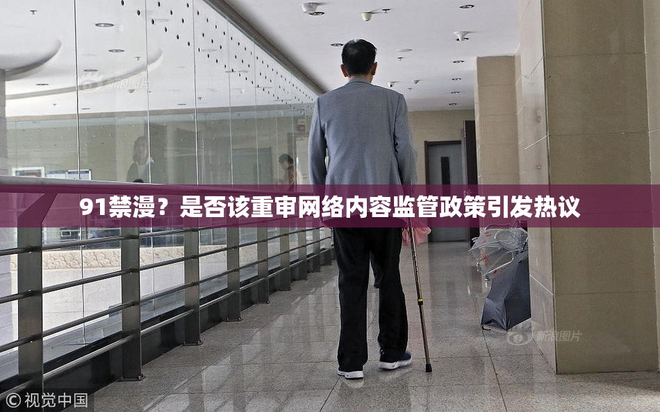 91禁漫？是否该重审网络内容监管政策引发热议