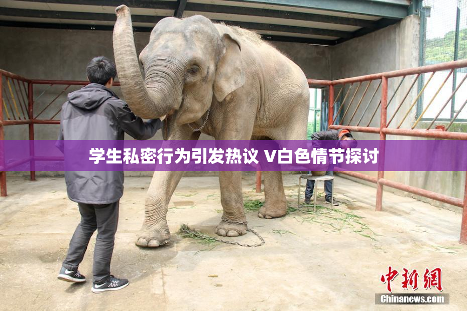 学生私密行为引发热议 V白色情节探讨