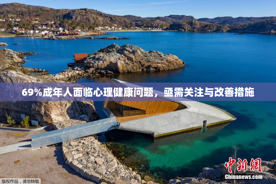 69%成年人面临心理健康问题，亟需关注与改善措施