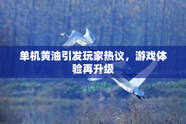 单机黄油引发玩家热议，游戏体验再升级