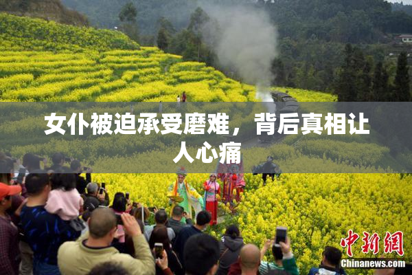 女仆被迫承受磨难，背后真相让人心痛