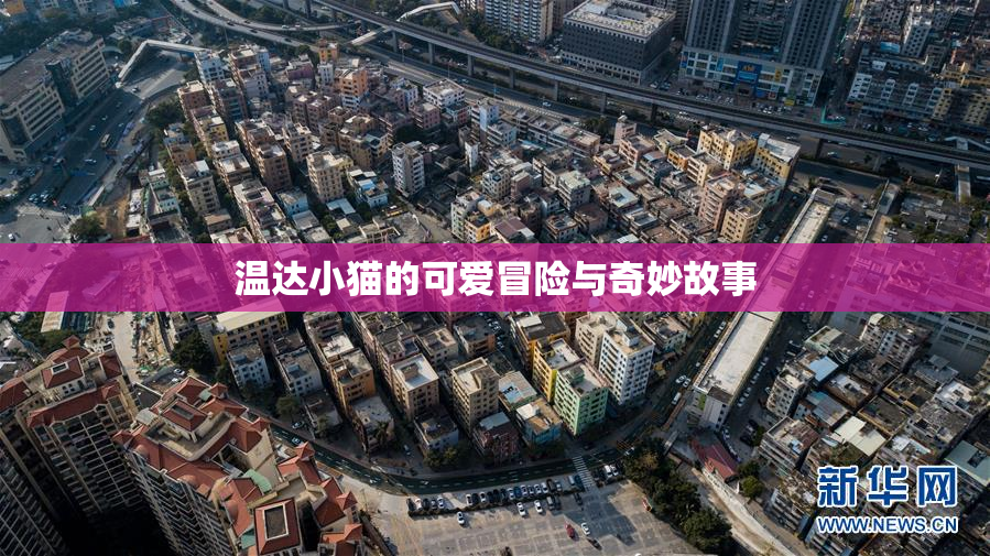 温达小猫的可爱冒险与奇妙故事