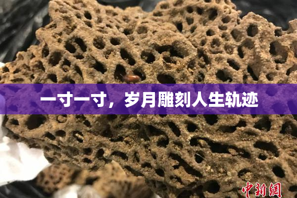 一寸一寸，岁月雕刻人生轨迹
