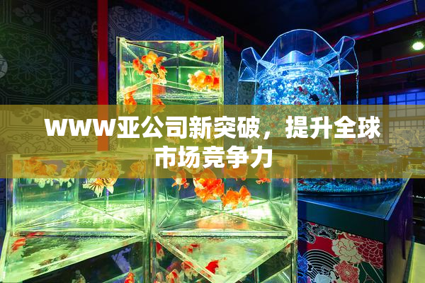 WWW亚公司新突破，提升全球市场竞争力