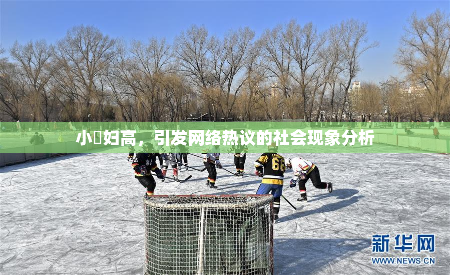 小婬妇高，引发网络热议的社会现象分析
