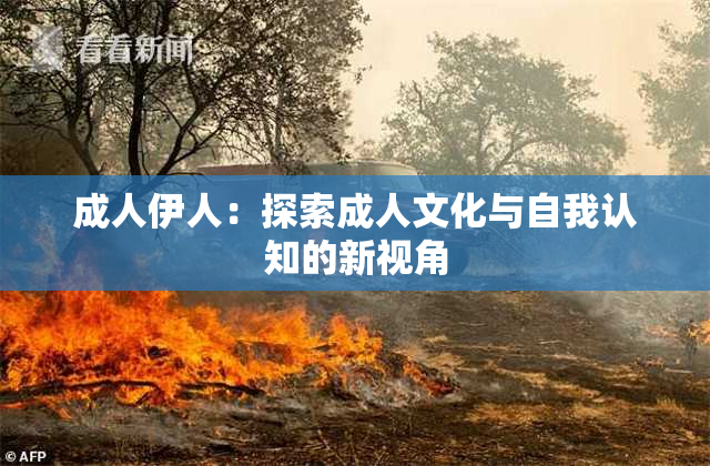 成人伊人：探索成人文化与自我认知的新视角