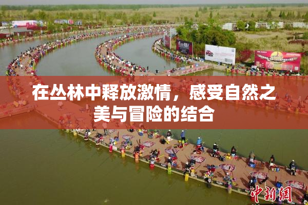在丛林中释放激情，感受自然之美与冒险的结合