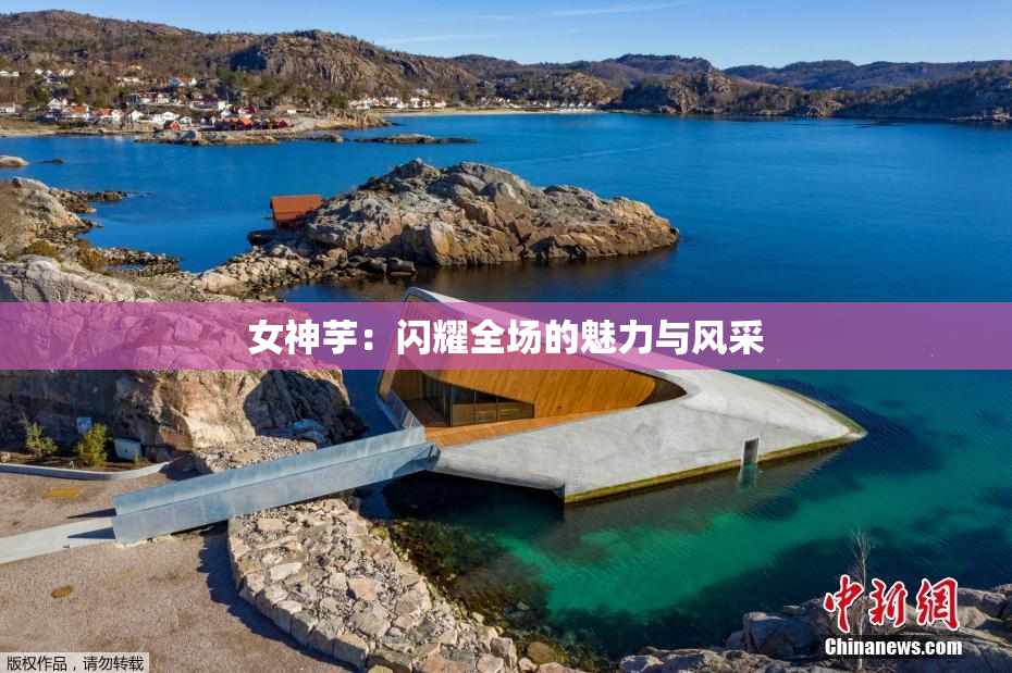 女神芋：闪耀全场的魅力与风采