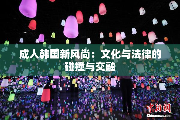 成人韩国新风尚：文化与法律的碰撞与交融