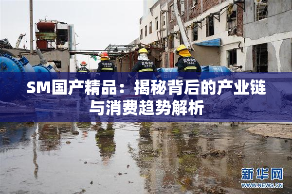 SM国产精品：揭秘背后的产业链与消费趋势解析