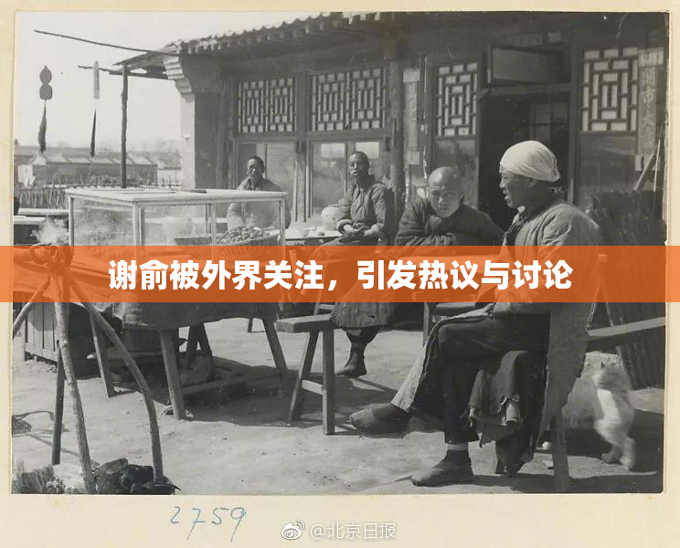 谢俞被外界关注，引发热议与讨论