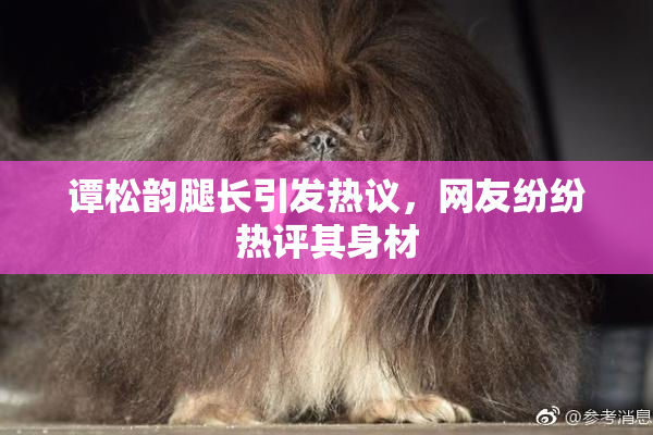 谭松韵腿长引发热议，网友纷纷热评其身材