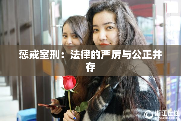 惩戒室刑：法律的严厉与公正并存