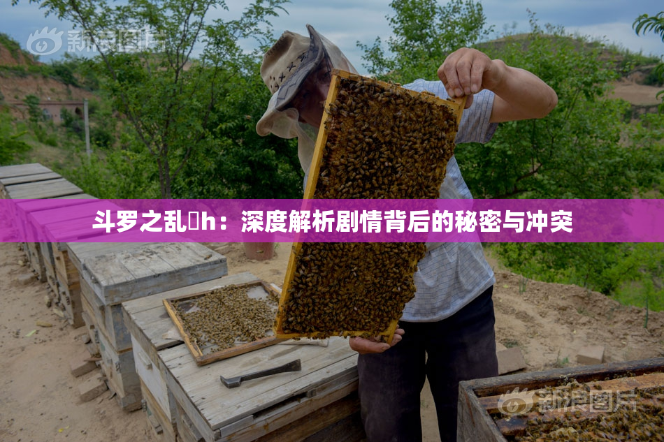 斗罗之乱婬h：深度解析剧情背后的秘密与冲突