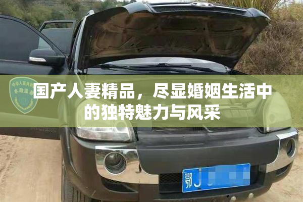 国产人妻精品，尽显婚姻生活中的独特魅力与风采