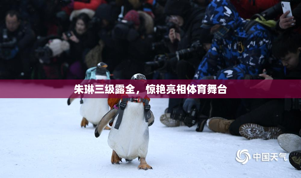 朱琳三级露全，惊艳亮相体育舞台