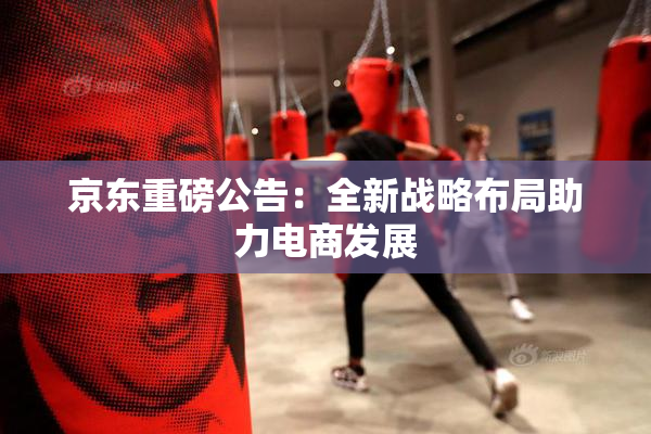 京东重磅公告：全新战略布局助力电商发展