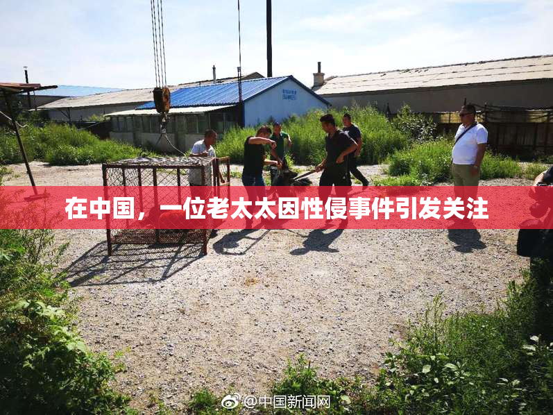 在中国，一位老太太因性侵事件引发关注
