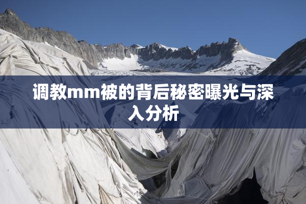 调教mm被的背后秘密曝光与深入分析