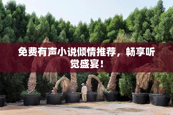 免费有声小说倾情推荐，畅享听觉盛宴！