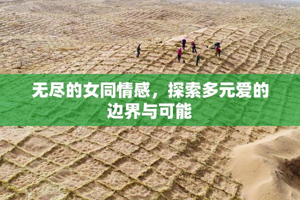无尽的女同情感，探索多元爱的边界与可能