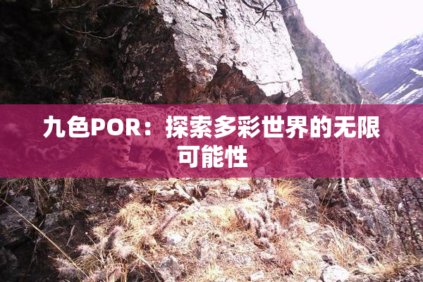 九色POR：探索多彩世界的无限可能性