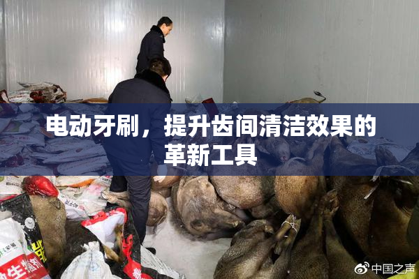 电动牙刷，提升齿间清洁效果的革新工具